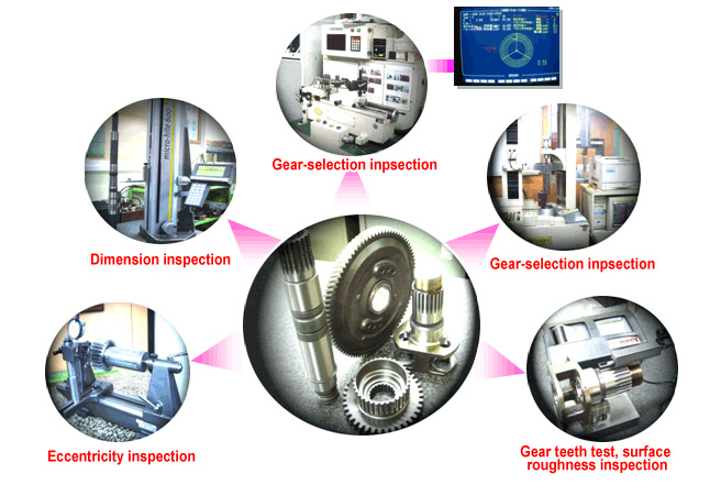 import/ process/ final inspection
